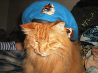 Владислав Хорошилов