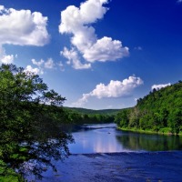 Александр Неженец