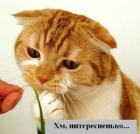 Татьяна Платицына