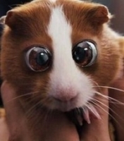 Виталий Авдюшев