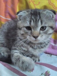 Марина Герасимова