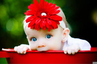 Евгеша Фениксова