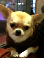 Валерия Гасанова