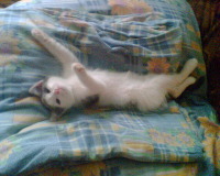 Геннадий Полетаев