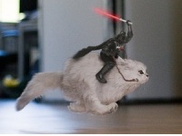 Андрей Козлов