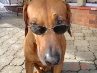 Ольга Денисова