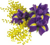 Дарья Баранова